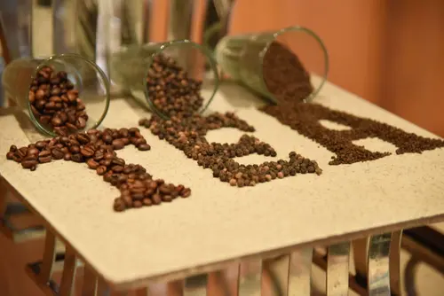 Welcomhotel by ITC Hotels, Jodhpur - Other Facilities - Others 69